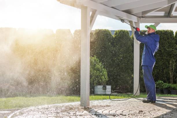 Best Gutter Cleaning and Brightening in Scissors, TX