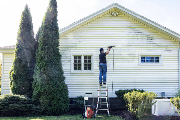 Best Fence Cleaning and Maintenance in Scissors, TX